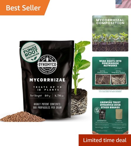Mycorrhizal fungi inoculant - fungi,
